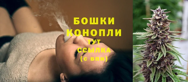 spice Верея