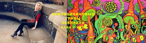 spice Верея