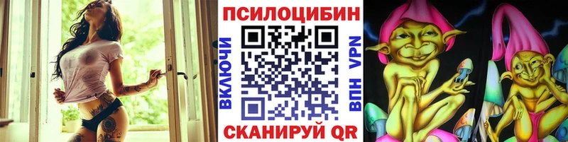 Псилоцибиновые грибы MAGIC MUSHROOMS  Купить где  Голицыно 